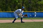 Baseball vs Babson  Wheaton College Baseball vs Babson during Championship game of the NEWMAC Championship hosted by Wheaton. - (Photo by Keith Nordstrom) : Wheaton, baseball, NEWMAC